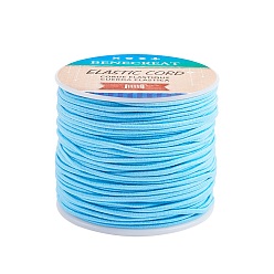 Sky Blue Elastic Cord, Polyester Outside and Latex Core, Sky Blue, 2mm, about 54.68 yards(50m)/roll, 1roll/box
