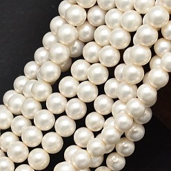 Shell Pearl Round Shell Pearl Matte Surface Bead Strands, 6mm, Hole: 1mm, about 62pcs/strand, 15.7 inch