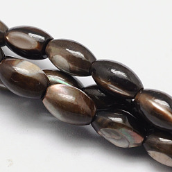Brun De Noix De Coco Brins de perles ovales en coquillage naturel, teint, brun coco, 9x6mm, Trou: 1mm, Environ 47 pcs/chapelet, 15.9 pouce