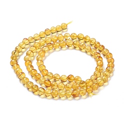 Ambre Perles d'ambre naturel brins, ronde, 5~5.5mm, Trou: 0.5mm, Environ 88 pcs/chapelet, 15.75 pouce (40 cm)