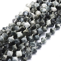 Eagle Eye Stone Natural Eagle Eye Stone Beads Strands, Faceted, Bicone, 8x8mm, Hole: 1mm, about 40pcs/strand, 15.24''(38.7cm)
