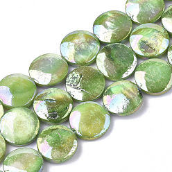 Lime Green Freshwater Shell Beads Strands, AB Color Plated, Dyed, Flat Round, Lime Green, 10~11.5x3~4mm, Hole: 1mm, 34pcs/strand, 15.15 inch