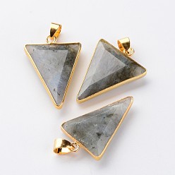 Labradorite Triangle à facettes gros pendentifs en labradorite naturelle, avec les accessoires en laiton de tonalité d'or, 30~35x19~26x5~6mm, Trou: 5x4mm