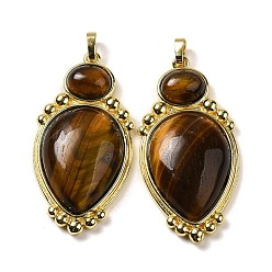 Tiger Eye Natural Tiger Eye Pendants, Teardrop Charms with Rack Plating Golden Tone Brass Findings, Cadmium Free & Lead Free, 43.5x22x7.8mm, Hole: 3.2x5.3mm