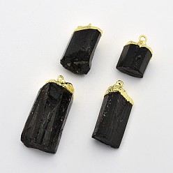 Черный Золотой тон латуни турмалин подвески, чёрные, 26~46x16~28x11~25 мм, отверстие : 5x7 мм