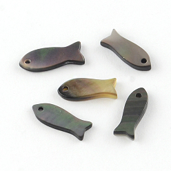 Noir Poissons lèvres noir charmes shell, noir, 12~16x5~6x1~2mm, Trou: 1mm
