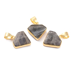 Labradorite Natural Labradorite Pendants, with Golden Brass Findings, Diamond, 18~18.5x17x5mm, Hole: 6x4mm