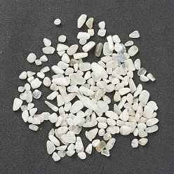 Rainbow Moonstone Natural Rainbow Moonstone Beads, No Hole/Undrilled, Chip, 6.5~18.5x3~7.5x1.5~3.5mm, about 1600pcs/500g