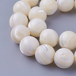 Autres Coquillages De Mer Chapelets de perles de coquillage, ronde, 13.7~14mm, Trou: 1.5mm, Environ 30 pcs/chapelet, 15.94 pouce (40.5 cm)