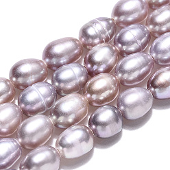 Chardon Brins de perles de culture d'eau douce naturelles, riz, chardon, 6.5~8.1x4.5~5mm, Trou: 0.7~0.8mm, Environ 55~56 pcs/chapelet, 13.78 pouce (35 cm)
