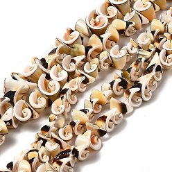 Kaki Clair Naturelles coquillage perles brins, perles en spirale, kaki clair, 7~14.5x5~12.5x3.5~13mm, Trou: 1.2mm, Environ 64~85 pcs/chapelet, 15.75~15.94'' (40~40.5 cm)