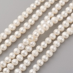 Old Lace Natural Cultured Freshwater Pearl Beads Strands, Round, Old Lace, 8~9x7.5~8mm, Hole: 0.5mm, about 49pcs/strand, 14.5 inch(37cm)