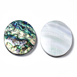 Perla de Shell Concha de abulón natural / Paua Concha Cabuchones., Con cáscara de agua dulce, oval, 50x40x7~9 mm