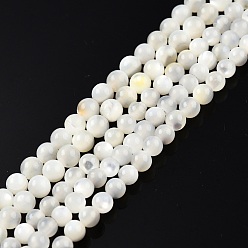 White Shell Natural White Shell Bead Strands, Round, 3~3.5mm, Hole: 0.8mm, about 123~124pcs/strand, 14.76 inch~14.88 inch(37.5~37.8cm)
