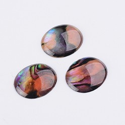 Colorful Oval Abalone Shell/Paua Shell Cabochons, Colorful, 12x10x1.5~2mm