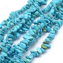 Howlite Natural Magnesite Beads Strands, Dyed & Heated, Chip, 3~5mm, Hole: 0.6mm, about 33 inch(84cm)