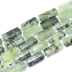 Prehnite Natural Prehnite Beads Strands, Rectangle, Faceted, 27~29x13~14x6~7mm, Hole: 1.5mm, about 12pcs/Strand, 14.96 inch(38cm)