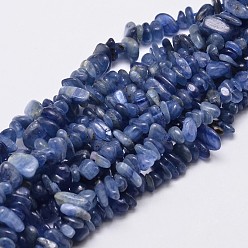 Cyanite Perles de copeaux de cyanite naturelle / cyanite / disthène, 5~14x4~10mm, Trou: 1mm, environ 15.5 pouces ~ 16.1 pouces