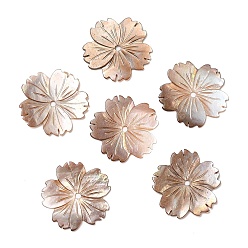 Autres Coquillages De Mer Perles de coquillage de mer naturelle, fleur de sakura, 23.5x23.5x1mm, Trou: 1.8mm