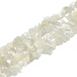 White Moonstone Natural White Moonstone Beads Strands, Chip, 5~11x3~9x1~9mm, Hole: 1mm, about 200~300pcs/strand, 33.8 inch