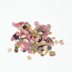 Tourmaline Natural Tourmaline Chip Beads, No Hole/Undrilled, 2~8x2~4mm, about 8500pcs/500g