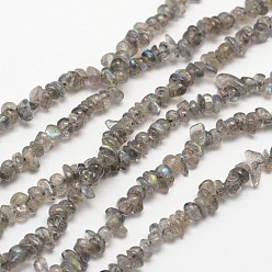 Larvikite Brins de perles de larvikite noires naturelles, 3~8x3~12x3~5mm, Trou: 1mm, environ 32 pouce