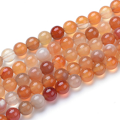 Cornaline Brins de perles de cornaline naturelles, ronde, 6mm, Trou: 1mm, Environ 61 pcs/chapelet, 15 pouce