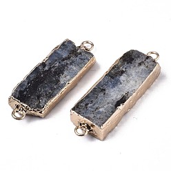 Kyanite Natural Kyanite/Cyanite/Disthene Links Connectors, with Edge Golden Plated Iron Loops, Rectangle, 37~39x12~13x6~7mm, Hole: 2mm
