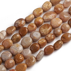 Fossil Coral Natural Fossil Coral Beads Strands, Tumbled Stone, Nuggets, 10~15x7.5~11.5x7.5~12.5mm, Hole: 1mm, about 36pcs/Strand, 15.67 inch(39.8 cm)