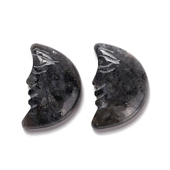 Labradorite Cabochons de larvikite naturelle, lune, 35x22.5x7mm