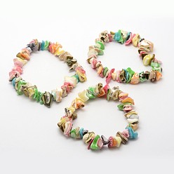 Colorful Dyed Natural Spiral Shell Stretch Bracelets, Colorful, 55mm