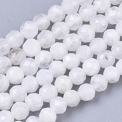 Rainbow Moonstone Natural Rainbow Moonstone Beads Strands, Round, Faceted, 3mm, Hole: 0.7mm, about 128pcs/strand, 15.35 inch(39cm)