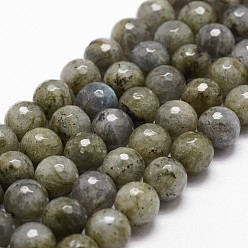 Labradorite Natural Labradorite Beads Strands, Faceted, Round, Dark Khaki, 10mm, Hole: 1mm, about 37pcs/strand, 14.9 inch~15.1 inch