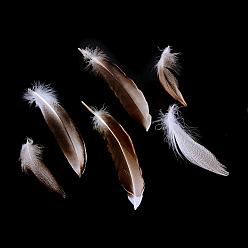 Saddle Brown Chicken Feather Costume Accessories, Dyed, Saddle Brown, 30~160x10~30mm