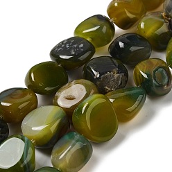 Olive Pierre gemme agate naturelle, teints et chauffée, nuggets, pierre tombée, olive, 14~15x10~14x8~9.5mm, Trou: 1.6mm, Environ 12~13 pcs/chapelet, 7.09~7.48'' (18~19 cm)