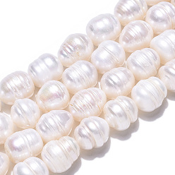 Color de la concha Hilos de perlas de agua dulce cultivadas naturales, cuentas barrocas de arroz con perlas keshi, color de concha, 10~18x11~11.5 mm, agujero: 0.7~0.8 mm, sobre 14 unidades / cadena, 7.09 pulgada (18 cm)