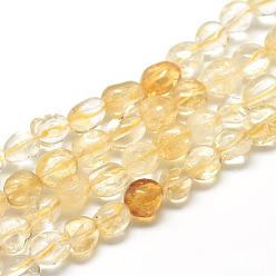 Citrine Natural Citrine Beads Strands, Oval, 8~15x7~12x4~12mm, Hole: 1mm, about 30~45pcs/strand, 15.7 inch