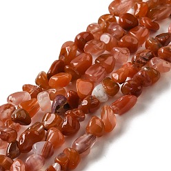 Красный Агат Натуральные южные красные агатовые бусины, самородки, упавший камень, 3.5~9x4~6.5x4~6 мм, отверстие : 0.8 мм, 14.96'' (38 см)