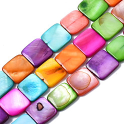 Color mezclado Cuentas de concha de perla natural hebras, teñido, plaza, color mezclado, 12~13x12~13x2~3 mm, agujero: 0.8 mm, sobre 33 unidades / cadena, 15.35 pulgada (39 cm)