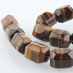 Tiger Eye Natural Tiger Eye Gemstone Bead Strands, Faceted Cuboid, 20x15x15mm, Hole: 1mm, about 19pcs/strand, 15.55 inch