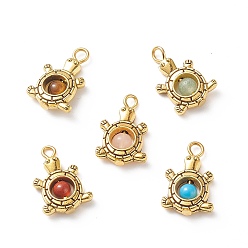 Tortoise Natural & Synthetic Mixed Gemstone Pendants, Animal Charm, with Antique Golden Plated Tibetan Style Alloy Findings and Iron Loops, Mixed Dyed and Undyed, Tortoise Pattern, 19.5x12.5x4.5mm, Hole: 2.7mm