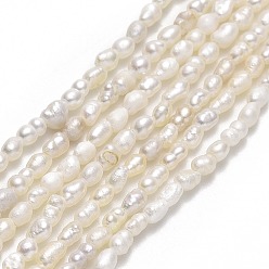 Lin Brins de perles de culture d'eau douce naturelles, riz, linge, 1.7~2x2.3~3mm, Trou: 0.5mm, Environ 65 pcs/chapelet, 12.80~12.99 pouce (32.5~33 cm)