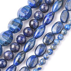 Lapis Lazuli Lapis-lazuli perles naturelles, rond & plat ovale & ovale, formes mixtes, 5~25x8~25x4~16mm, Trou: 0.6mm