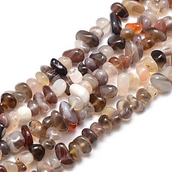 Botswana Agate Natural Botswana Agate Chip Beads Strands, 4~14x4~12mm, Hole: 1mm, about 15.3 inch~16.1 inch