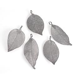 Black Plated Electroplated Natural Leaf Big Pendants, with Iron Findings, Black Plated, 50~80x20~35x1mm, Hole: 3x6mm