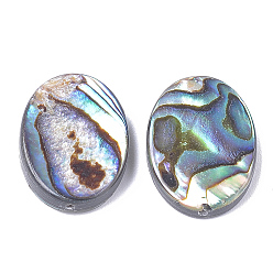 Coloré Perles coquille d'ormeau / coquille de paua, ovale, 18x13x3.5mm, Trou: 1mm