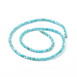 Deep Sky Blue 125Pcs Natural Freshwater Shell Beads, Dyed, Round, Deep Sky Blue, 3mm, Hole: 0.5mm