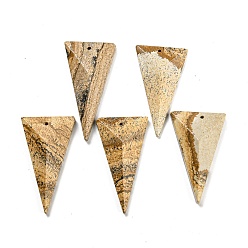 Пейзажный Джаспер Естественного изображения яшмы подвески, граненые треугольник прелести, 42~49.5x24.5~27.5x7~9.5 мм, отверстие : 1.2 мм