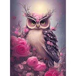 Colorful DIY Owl Diamond Painting Kit, Including Resin Rhinestones Bag, Diamond Sticky Pen, Tray Plate and Glue Clay, Colorful, 400x300mm