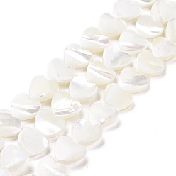 Blanco Hebras de cuentas de concha de trochus natural, corazón, blanco, 10x10x3.5 mm, agujero: 0.7 mm, sobre 42 unidades / cadena, 15.43'' (39.2 cm)